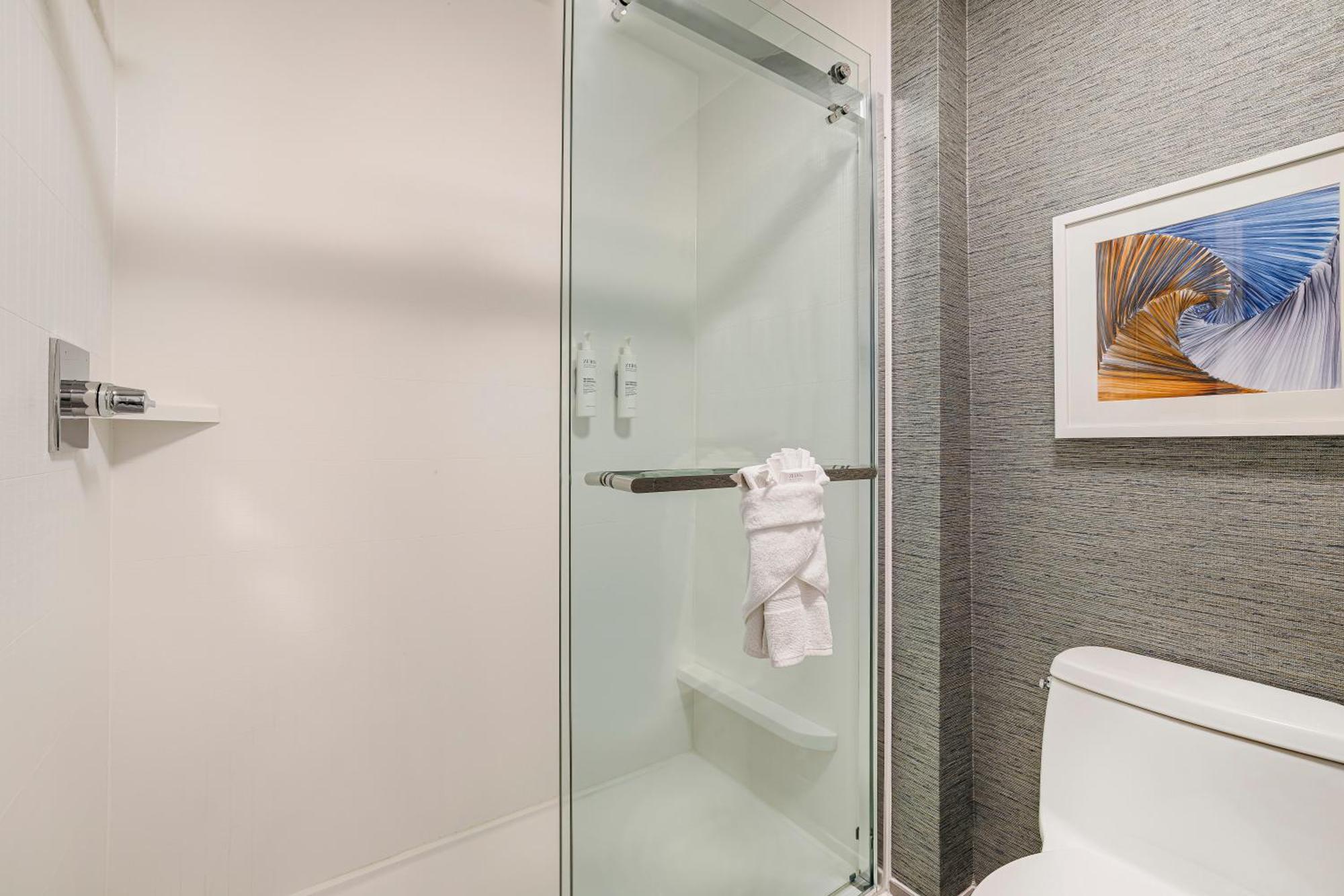 One-Bedroom King Suite Non-Smoking